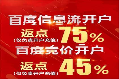 百度SEO推广案例：优化策略与效果对比